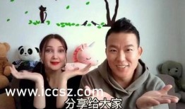 胜嫂的爆料视频大全集免费观看,独家揭秘，免费观看